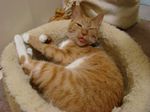 DSC01819.jpg