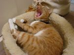 DSC01821.jpg