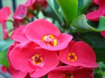 IMG_00501.JPG