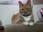 IMG_02457.JPG