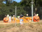 IMG_3845.JPG