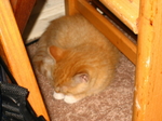 IMG_4147.JPG