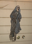 IMG_4375.JPG