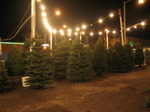 IMG_5257.JPG