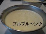 IMG_5274.JPG