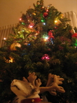 IMG_5571.JPG