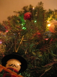 IMG_5576.JPG