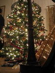 IMG_5646.JPG