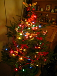 IMG_5662.JPG