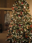 IMG_5753.JPG
