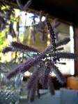IMG_9769.jpg